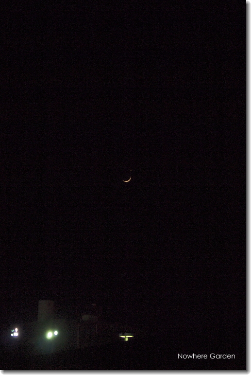 New moon1.jpg